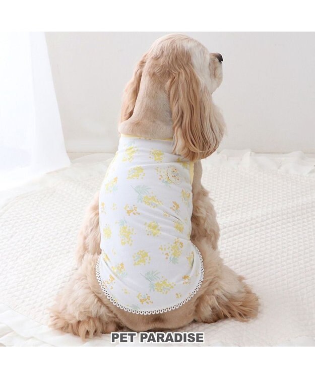 PET PARADISE ペットパラダイス はじめてタンクトップ 《ミモザ柄》 中型犬 大型犬 ミモザ柄