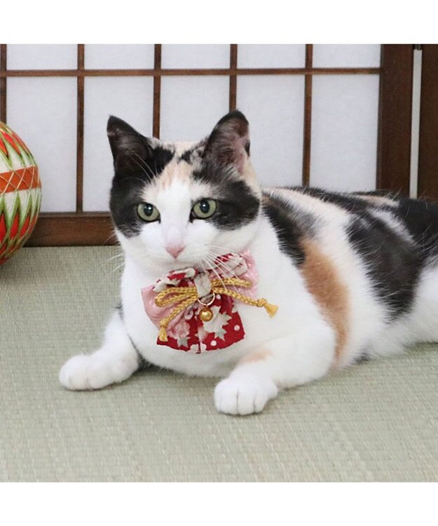 PET PARADISE ペットパラダイス 和帯 ねこ首輪 《赤》 小 / 中 赤