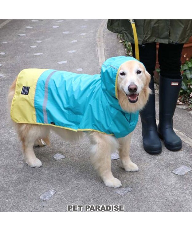 PET PARADISE 犬服 犬用品 ペットグッズ ペットウェア ペットパラダイス 切替レインマント 【中型・大型犬】 | 犬用 中型犬 大型犬 青緑