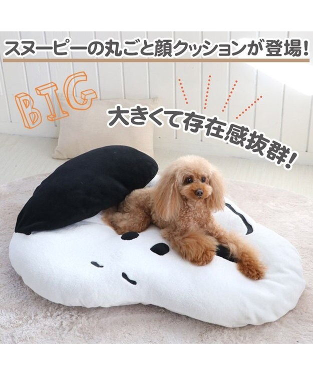 スヌーピー クッションセット SNOOPY スヌーピー クッションカバー セット 選べる2点セット 45