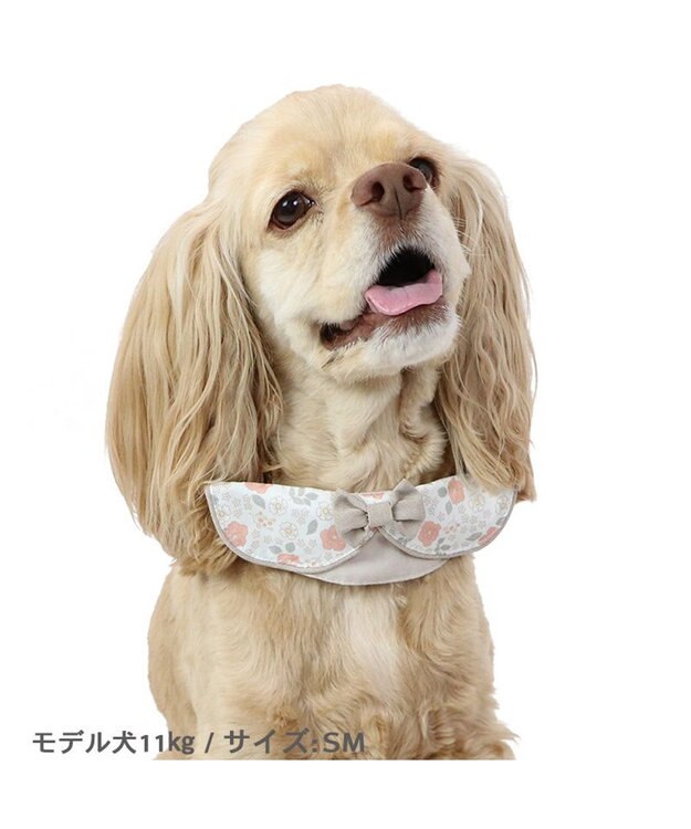 PET PARADISE 花柄 襟付首輪 おしゃれ 【ＳM】 中型犬 茶系