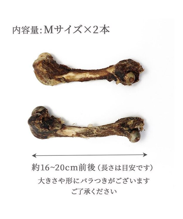 天然　日本鹿　スカルヘッド　お得な2個セット×2 衝撃の激安コスパ・掘り出し物も 天然日本鹿 ハンティング