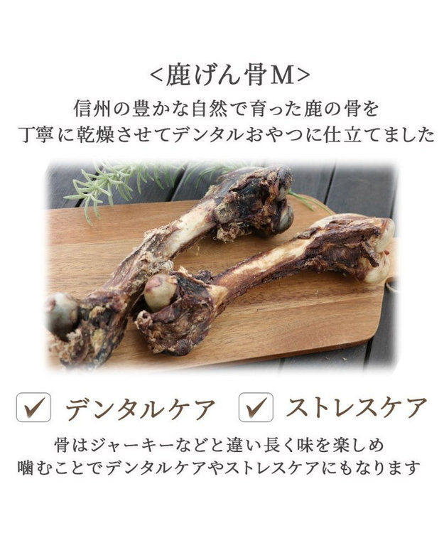 ≪数量限定≫ 鹿 げん骨 デンタルおやつ Mサイズ×2本 純国産