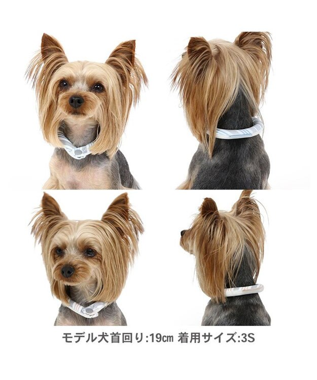 PET PARADISE クールリング 犬 クールネック ひんやり 28℃クールリング 【３Ｓ】 リフレクター 水色 ベージュ  反射材付き 水色 ３Ｓ