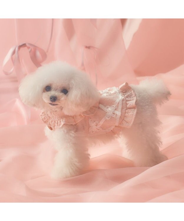PET PARADISE cherircouture フリルカラーワンピース 小型犬 ピンク