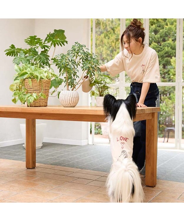 PET PARADISE ペットパラダイス Mai Kuraki　LOVE  ペットTシャツ 《ホワイト》 中型犬 ホワイト