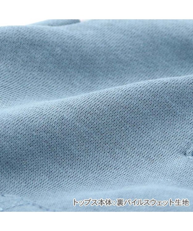 PET PARADISE ペットパラダイス トレーナー パンツつなぎ 《ブルー》 小型犬 ブルー