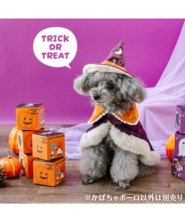 PET PARADISE ハロウィン かぼちゃＢＯＸ かぼちゃボーロ 0