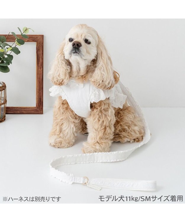 PET PARADISE ペットパラダイス レースフリル リード ＳＭ ホワイト