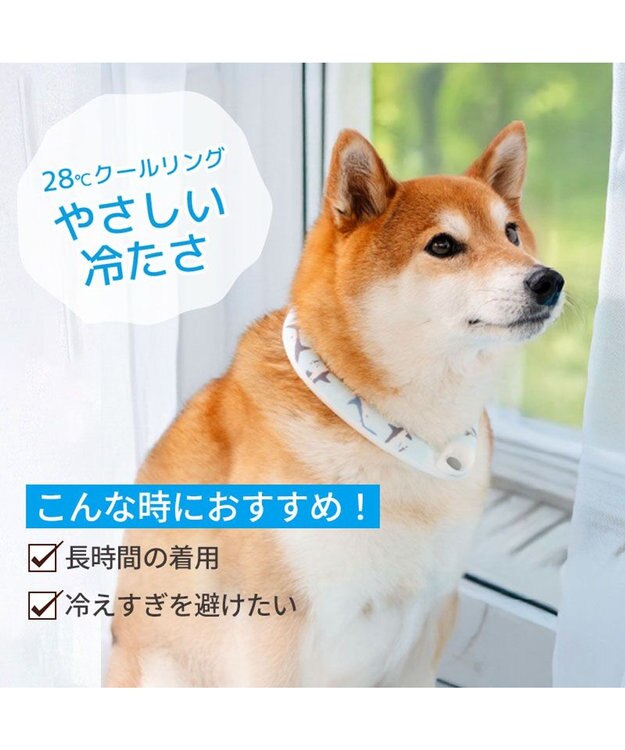 PET PARADISE ペットパラダイス ２８℃ クールリング ＳＭ 《サメ柄》 ブルー