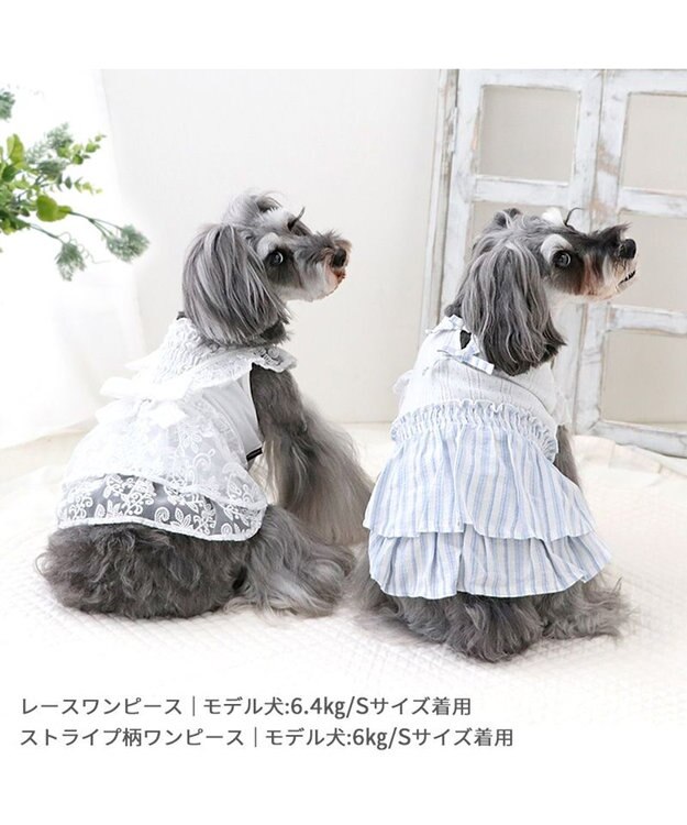 PET PARADISE ペットパラダイス レースワンピース 小型犬 ホワイト