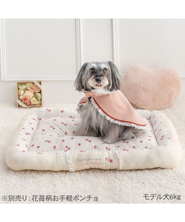 PET PARADISE ペットパラダイス カドラー 《花苺柄》　Ｌ ホワイト×レッド