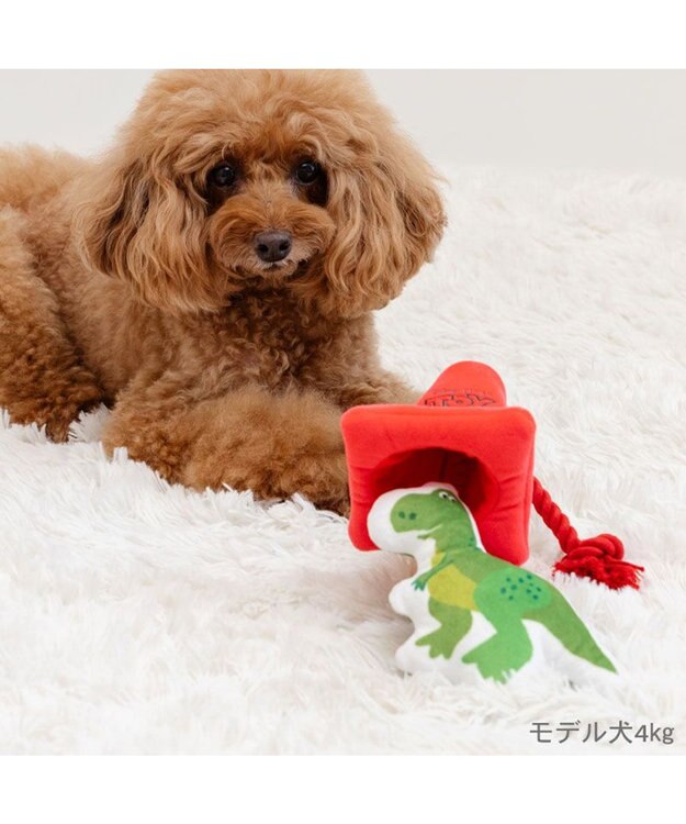 PET PARADISE ディズニー トイ・ストーリー レックス コーントイ レッド