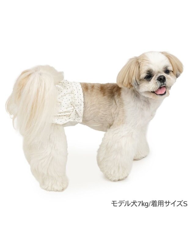 PET PARADISE ペットパラダイス バルーン サニタリーパンツ 《ドット柄》 小型犬 ホワイト