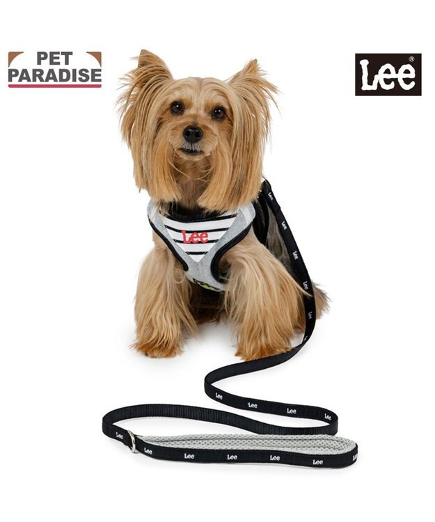 PET PARADISE Lee バンダナ ハーネス＆リード ＳＳ グレー×ブラック