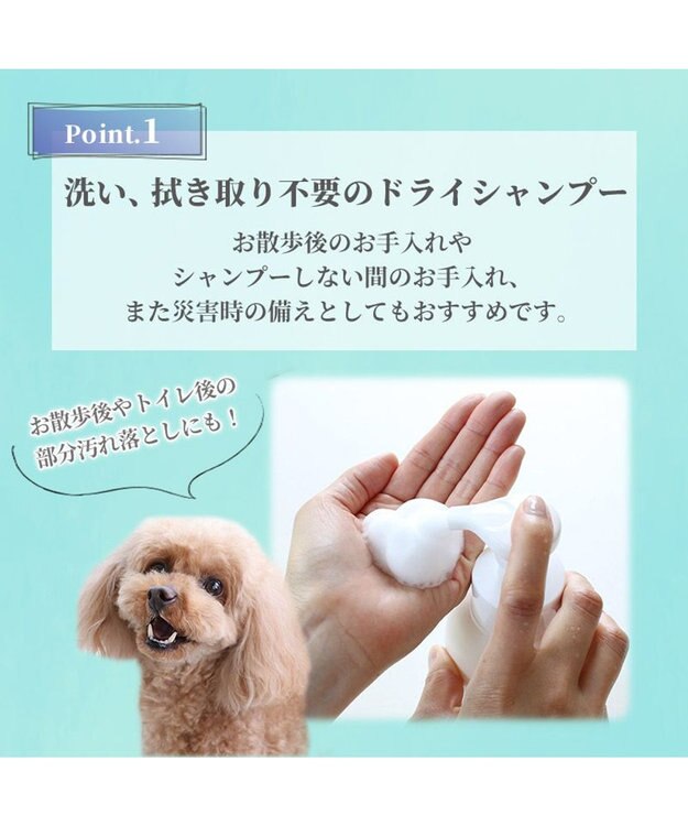 PET PARADISE ペットパラダイス ドライ泡シャンプー300ｍＬ -