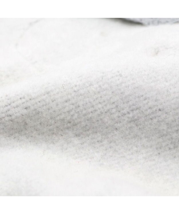 PET PARADISE スヌーピー ビッグラブ  トレーナー 小型犬 グレー