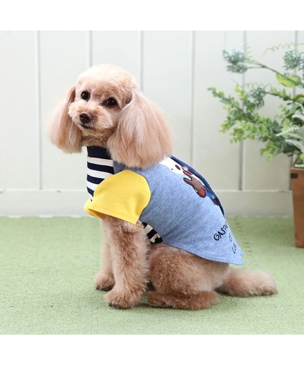 PET PARADISE リサとガスパール 背中開き Tシャツ 《ひょっこり》 小型犬 ひょっこり