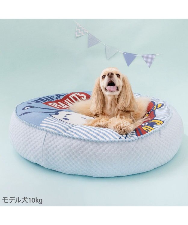 PET PARADISE 【8月初旬お届け】スヌーピー スケボークッション Ｌ ブルー