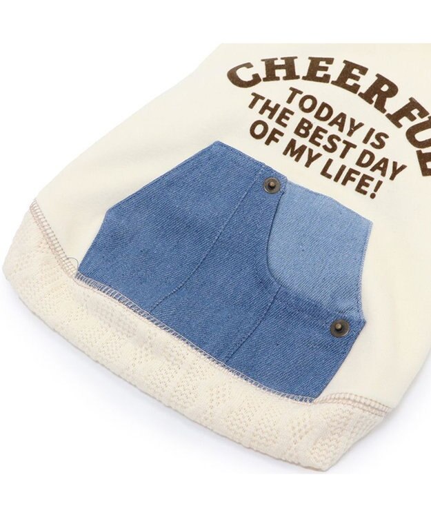 PET PARADISE ペットパラダイス ポケット付きトレーナー 《デニムチェック柄》 小型犬 ホワイト