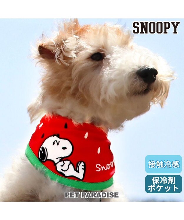 PET PARADISE スヌーピー スイカ柄 クールネック バンダナ 《保冷剤付き》【小型犬】 赤