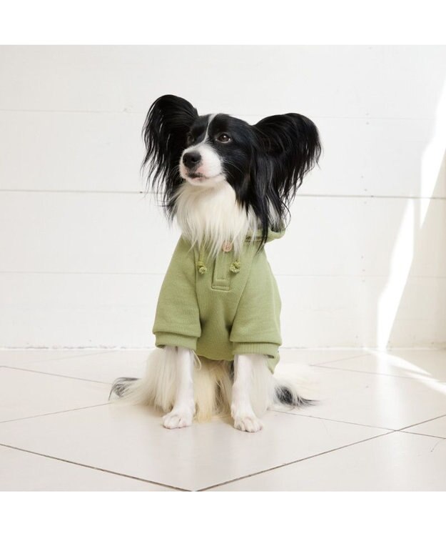 PET PARADISE ペットパラダイス Mai Kuraki ベニート パーカー 《オリーブ》 小型犬 オリーブ