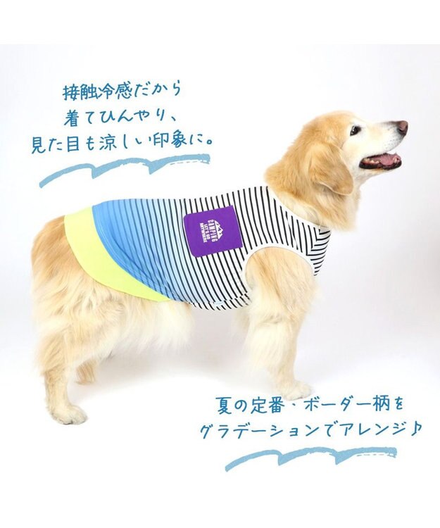 PET PARADISE 犬の服 夏 ひんやり クール メッシュ 接触冷感 虫よけ  グラデーション タンクトップ 【中型犬】【大型犬】クールマックスエコメイド 青