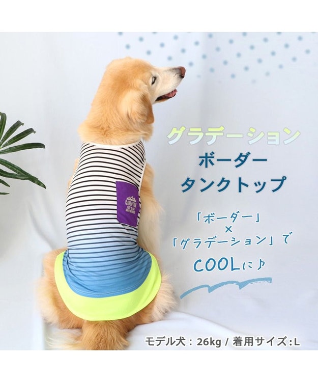 犬の服 夏 ひんやり クール メッシュ 接触冷感 虫よけ