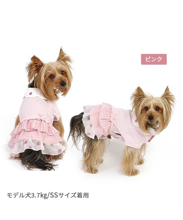PET PARADISE ペットパラダイス 苺刺繍 ワンピース  スカラップカラー《ピンク》 小型犬 ピンク