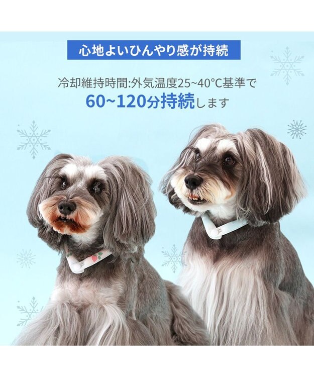 PET PARADISE ペットパラダイス 28℃クールリング SUO 《いちご柄》 〔M〕 中型犬 いちご