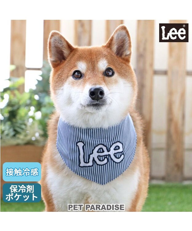Leeクールネック ヒッコリー バンダナ《保冷剤付き》 【中型