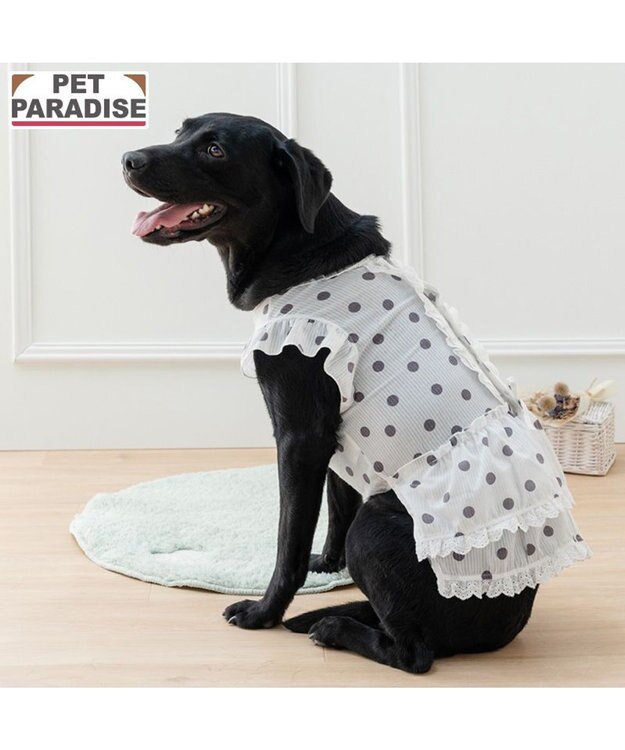 PET PARADISE ペットパラダイス 背中開き フリル ワンピース 《ドット柄》 中型犬 大型犬 ホワイト
