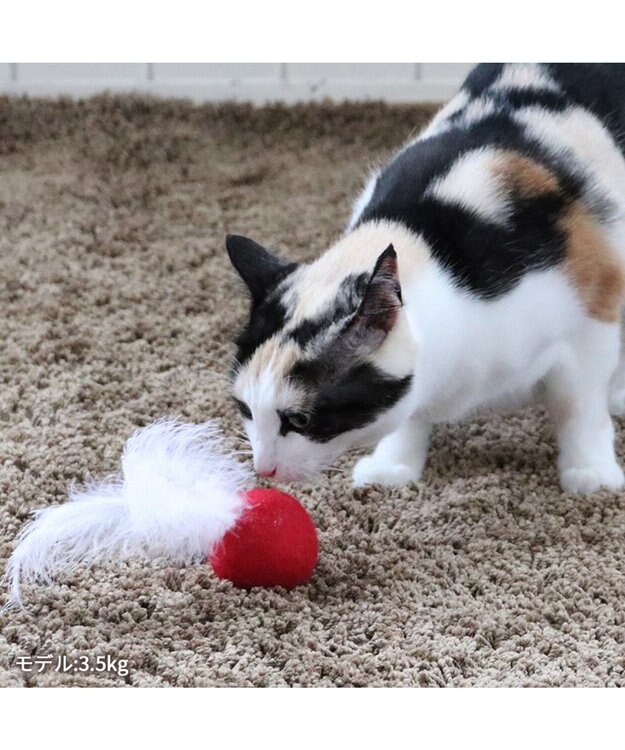 PET PARADISE ペットパラダイス 猫 羊毛ボール 羽付き 【単品】 レッド