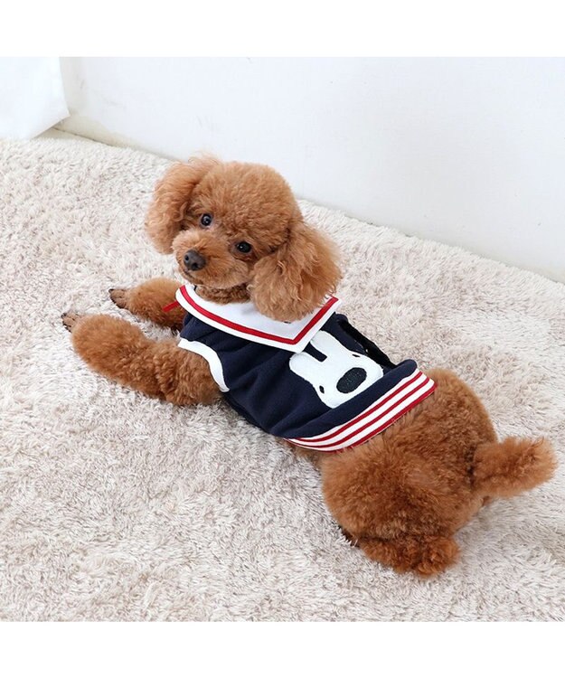 ペットパラダイス#リサガスセーターベスト新品 リサとガスパール セーラー フリース ベスト 小型犬 / PET