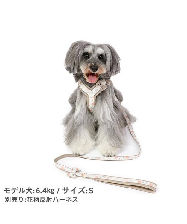 PET PARADISE 花柄 リード【ＳＳ~Ｓ】 小型犬 茶系