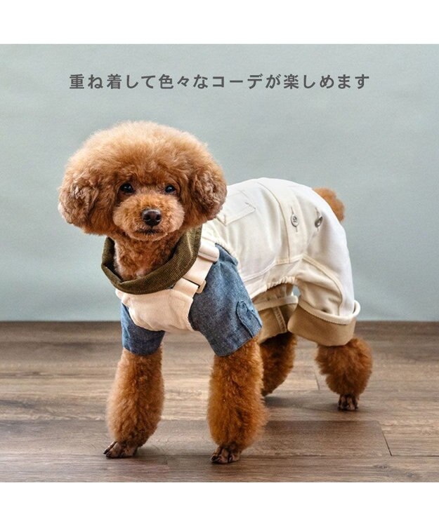 PET PARADISE ペットパラダイス コーデュロイ襟 シャツ 小型犬 ブルー