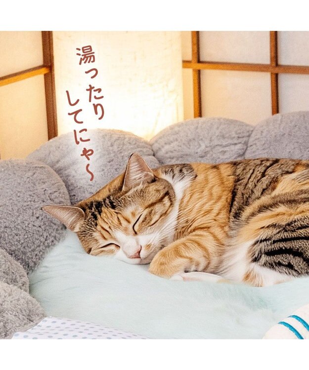 PET PARADISE ペットパラダイス 猫 湯ったり露天風呂 カドラ－ グレー
