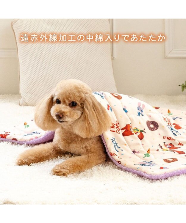 PET PARADISE ディズニー ズートピア もちっと ボア ブランケット ベージュ