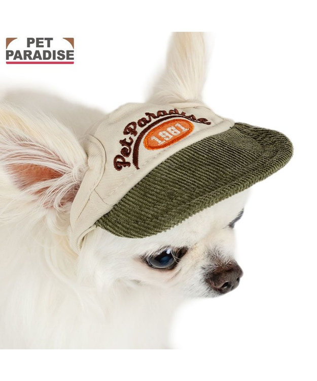 PET PARADISE ペットパラダイス コーデュロイ ロゴキャップ 4S～3S/SS～S ベージュ×カーキ