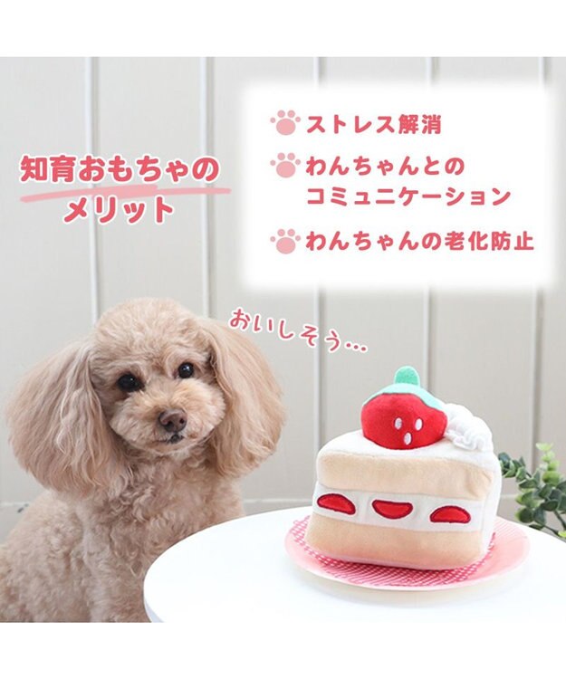 PET PARADISE 犬 おもちゃ 知育 ノーズワーク プチケーキ 白～オフホワイト