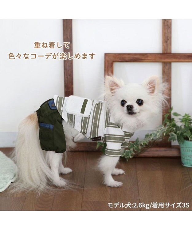 PET PARADISE ペットパラダイス 縞のびのびリブＴシャツ 小型犬 グリーン