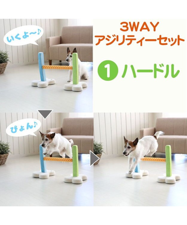 PET PARADISE 犬 トイ TOY ペットパラダイス アジリティ セット 訓練 ドッグアジリティ トレーニング マルチカラー