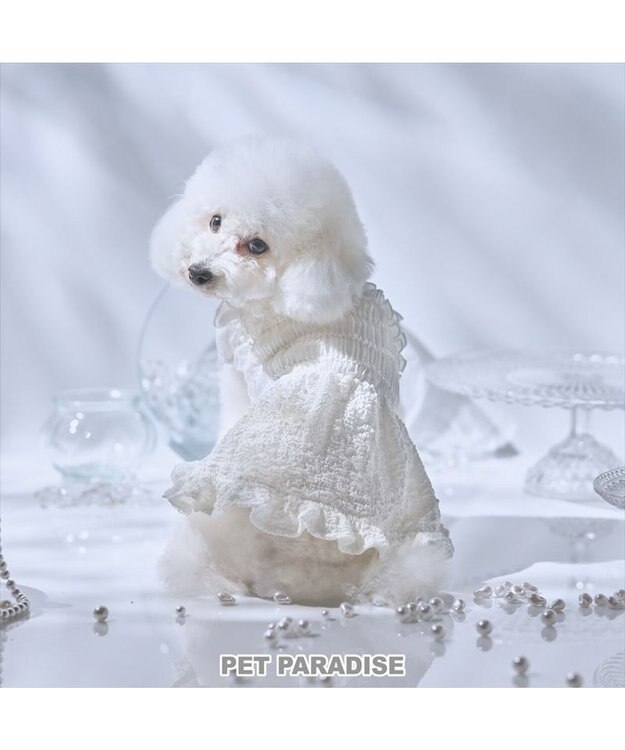 PET PARADISE cherircouture くしゅくしゅ ワンピース 小型犬 ホワイト