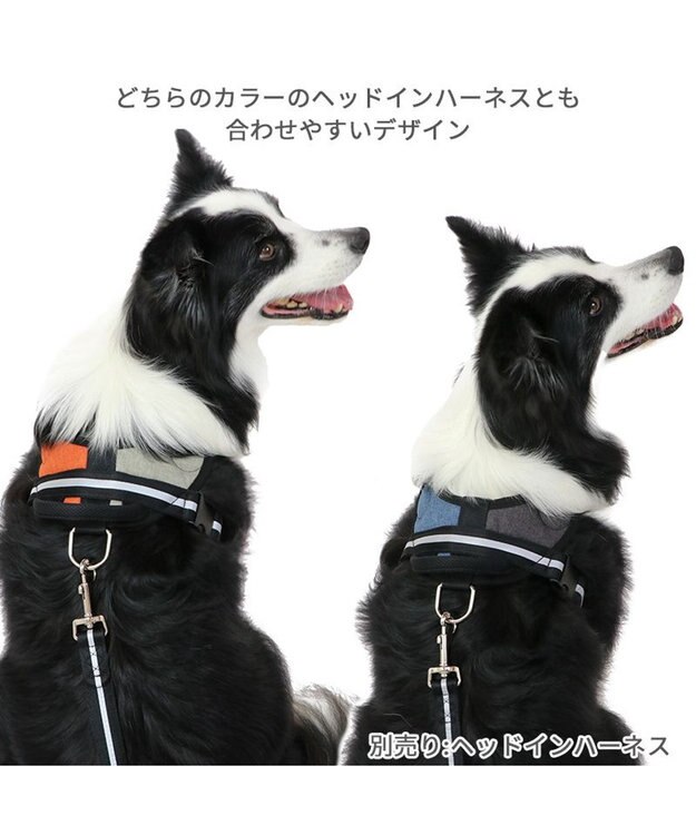 PET PARADISE 両面反射リード ブラック120㎝【Ｍ～Ｌ】 黒