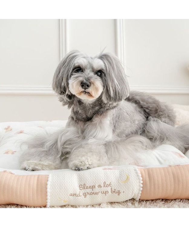 PET PARADISE ペットパラダイス くまさん カドラー 《おやすみ柄》 Ｌ モカ