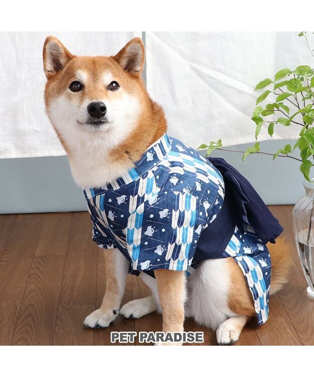 PET PARADISE 浴衣 矢絣柄 兵児帯  【中型犬】 【大型犬】 青