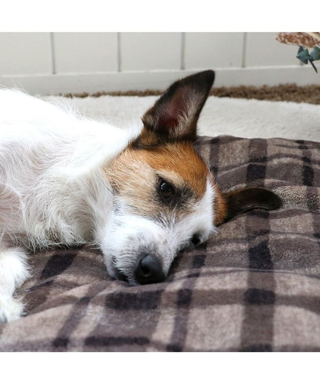 PET PARADISE ペットパラダイス 遠赤外線 ボアマット 《 チェック柄 》 (80×60cm) チェック柄