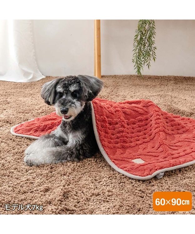 PET PARADISE ペットパラダイス アランボア ブランケット レッド