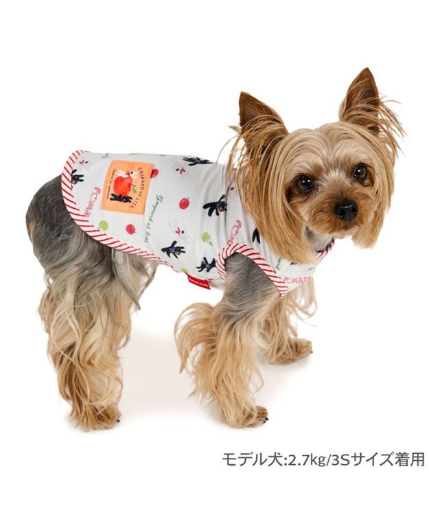 PET PARADISE リサとガスパール エコメイド タンクトップ 《リンゴ柄》 小型犬 ホワイト