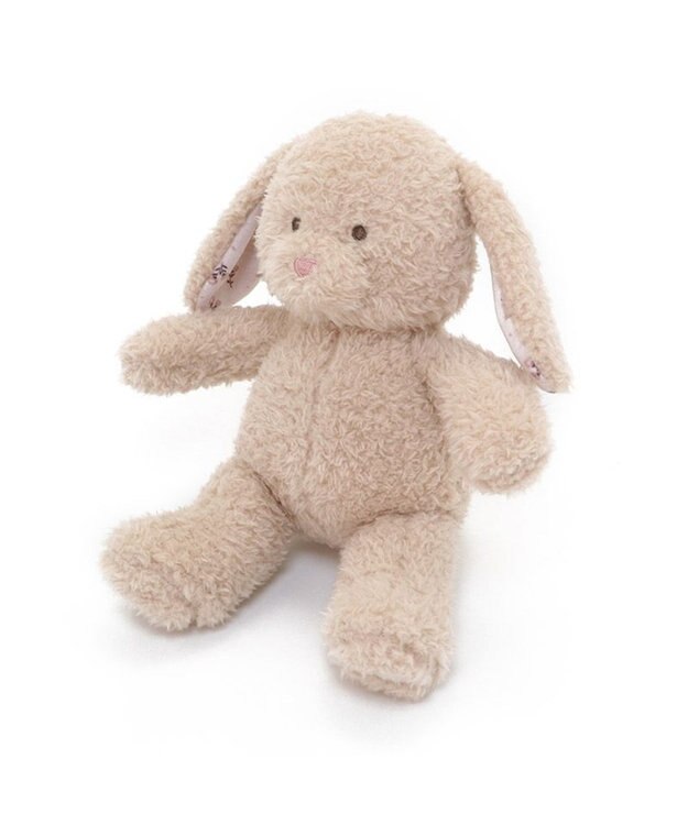 うさぎ うさぎの新着🐰 ネザーランドドワーフがやって来ました